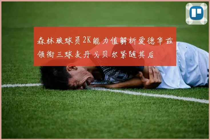 森林狼球员2K能力值解析爱德华兹领衔三球麦丹戈贝尔紧随其后